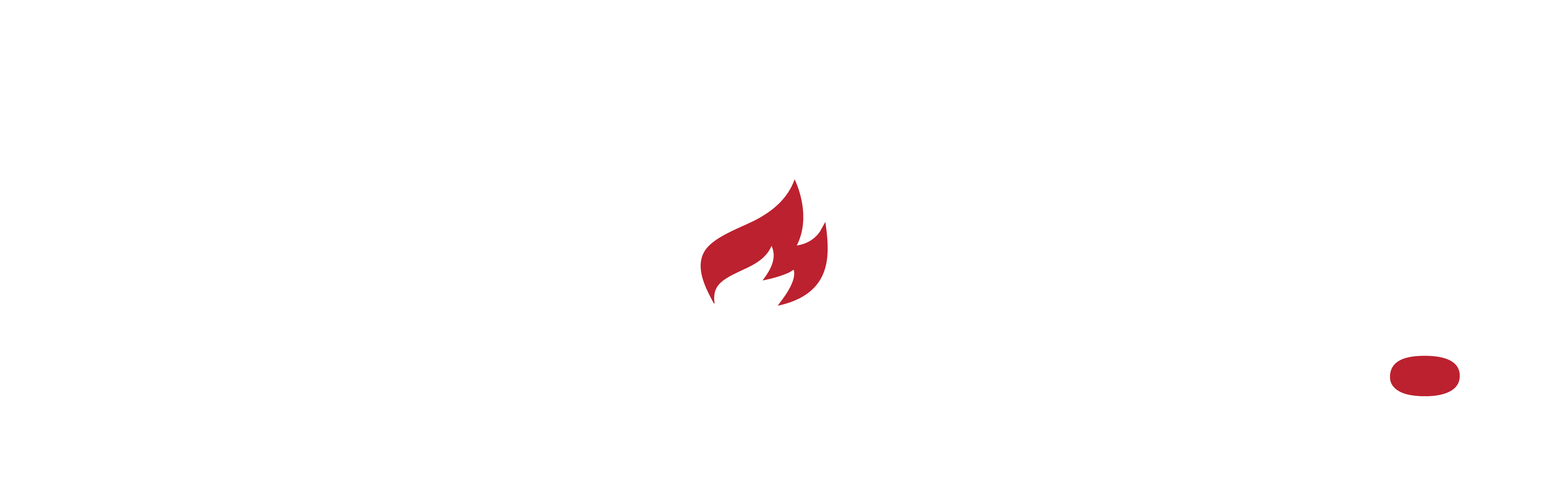 Shenzhen Vidgewise Electronic Co., Ltd.